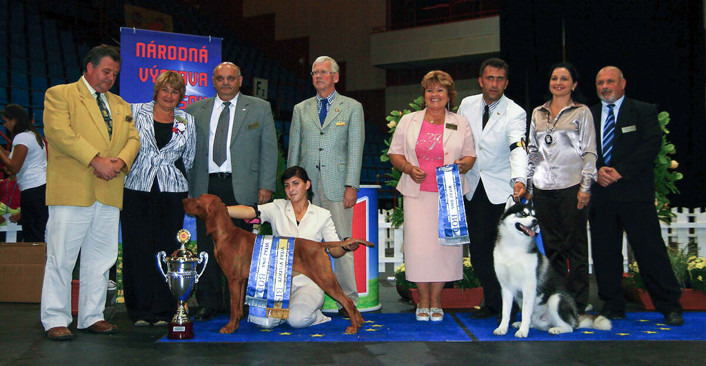 BIS UNICUM of Skyrocket, Met.m.v 6032/08, 17.04.2008, Otec: Magor Oguz Matka: Hannah of Skyrocket, Chovateľ: Varga Nikoletta Majiteľ: Németh Adriana