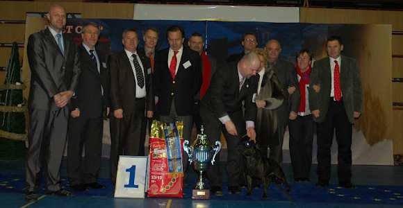 BIS Eastcup 2011