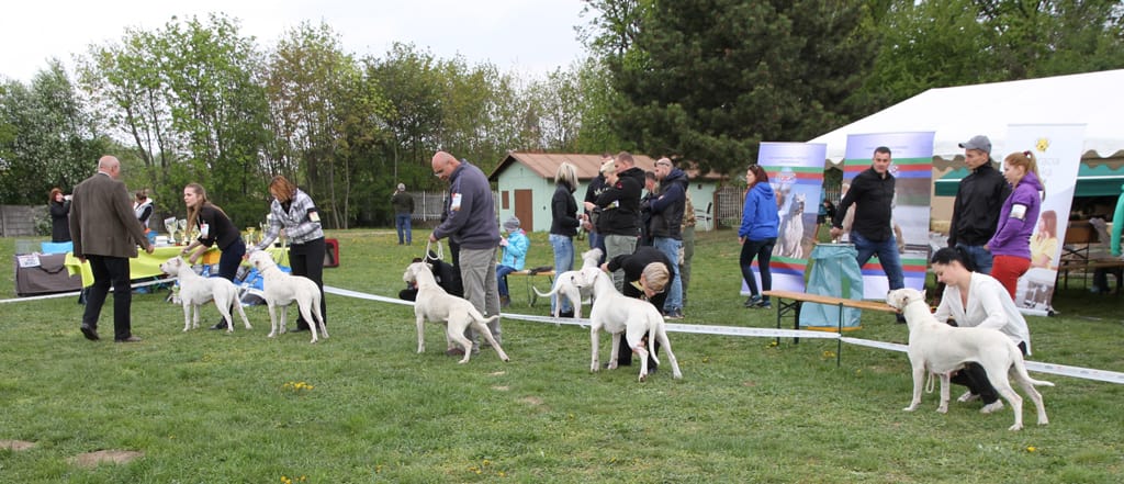 velkonocna OV 14.04.2017